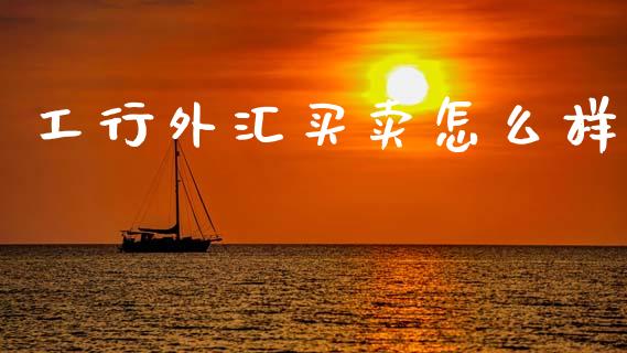 工行外汇买卖怎么样_https://wap.hpmsj.cn_财经时评_第1张
