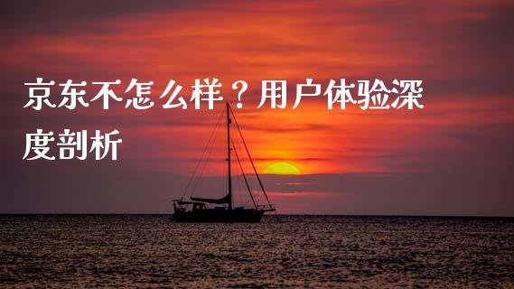 京东不怎么样？用户体验深度剖析_https://wap.hpmsj.cn_金融机构_第1张