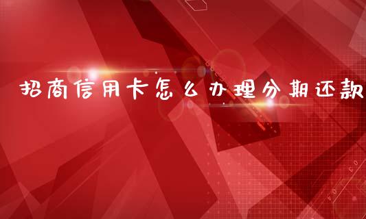 招商信用卡怎么办理分期还款_https://wap.hpmsj.cn_外汇汇率_第1张