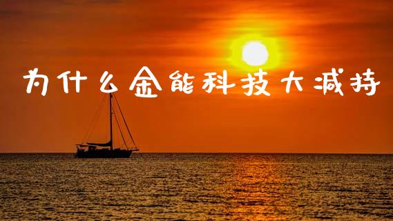 为什么金能科技大减持_https://wap.hpmsj.cn_外汇汇率_第1张