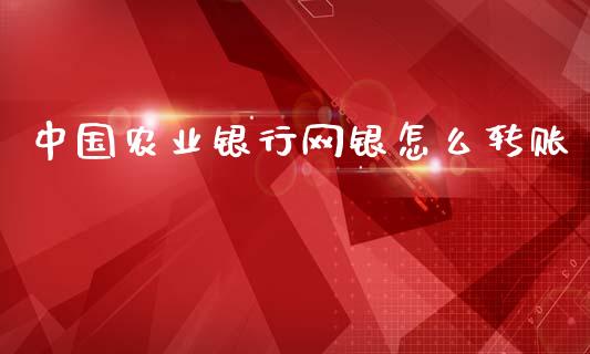 中国农业银行网银怎么转账_https://wap.hpmsj.cn_金融机构_第1张
