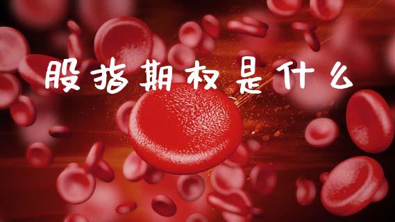 股指期权是什么_https://wap.hpmsj.cn_期货交易_第1张