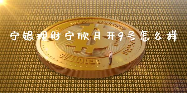 宁银理财宁欣月开9号怎么样_https://wap.hpmsj.cn_金融机构_第1张