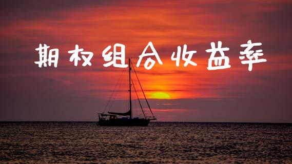 期权组合收益率_https://wap.hpmsj.cn_期货交易_第1张