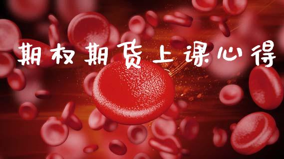 期权期货上课心得_https://wap.hpmsj.cn_基金分析_第1张