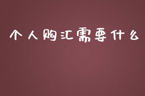 个人购汇需要什么_https://wap.hpmsj.cn_财经时评_第1张