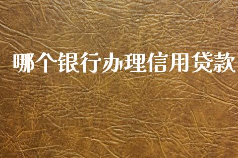 哪个银行办理信用贷款_https://wap.hpmsj.cn_财经时评_第1张
