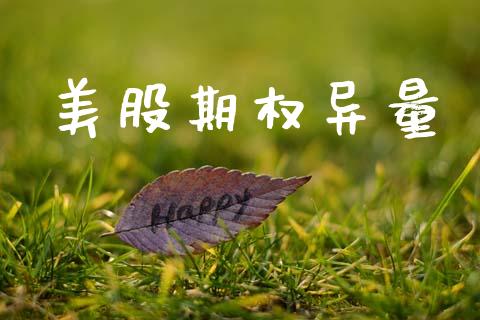 美股期权异量_https://wap.hpmsj.cn_基金分析_第1张