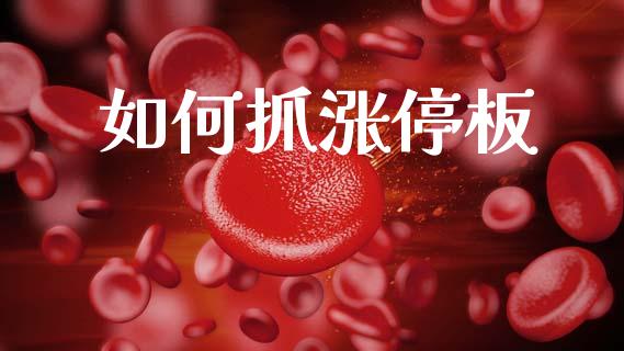 如何抓涨停板_https://wap.hpmsj.cn_金融机构_第1张