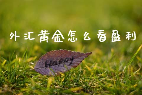 外汇黄金怎么看盈利_https://wap.hpmsj.cn_债券投资_第1张
