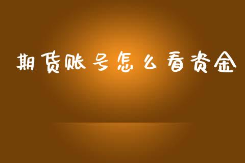 期货账号怎么看资金_https://wap.hpmsj.cn_基金分析_第1张