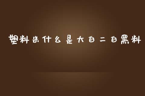 塑料米什么是大白二白黑料_https://wap.hpmsj.cn_财经时评_第1张