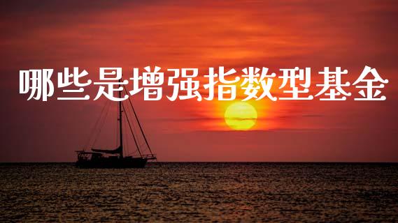哪些是增强指数型基金_https://wap.hpmsj.cn_债券投资_第1张
