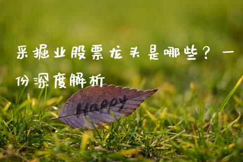 采掘业股票龙头是哪些？一份深度解析_https://wap.hpmsj.cn_财经时评_第1张