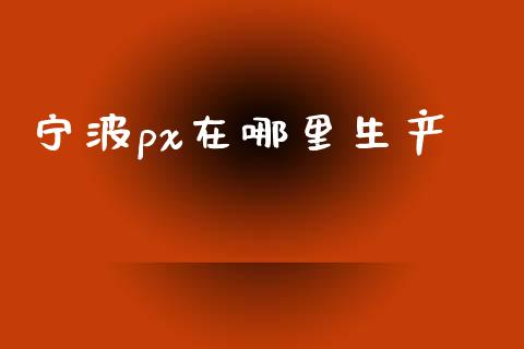 宁波px在哪里生产_https://wap.hpmsj.cn_外汇汇率_第1张
