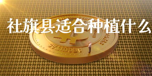 社旗县适合种植什么_https://wap.hpmsj.cn_基金分析_第1张