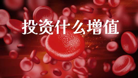 投资什么增值_https://wap.hpmsj.cn_金融机构_第1张