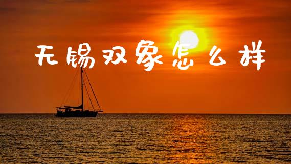 无锡双象怎么样_https://wap.hpmsj.cn_外汇汇率_第1张