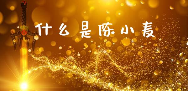 什么是陈小麦_https://wap.hpmsj.cn_债券投资_第1张