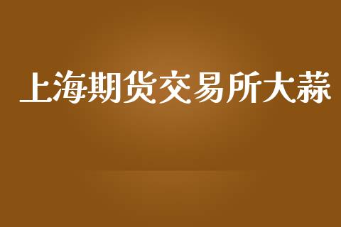 上海期货交易所大蒜_https://wap.hpmsj.cn_期货交易_第1张