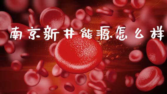 南京新井能源怎么样_https://wap.hpmsj.cn_财经时评_第1张