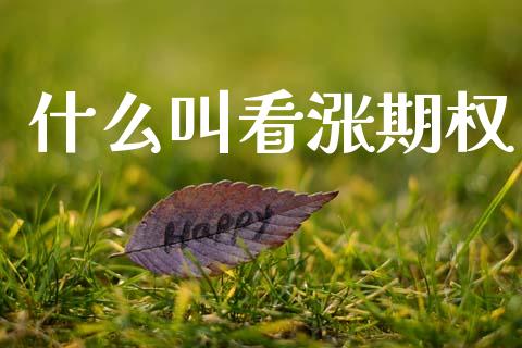 什么叫看涨期权_https://wap.hpmsj.cn_期货交易_第1张