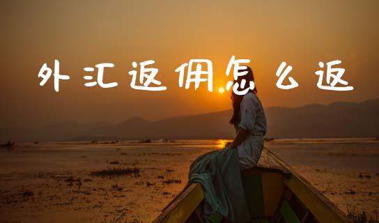 外汇返佣怎么返_https://wap.hpmsj.cn_基金分析_第1张