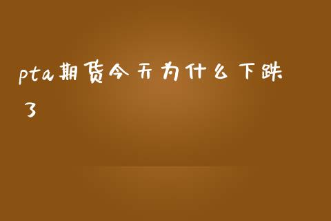 pta期货今天为什么下跌了_https://wap.hpmsj.cn_金融机构_第1张