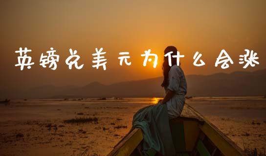 英镑兑美元为什么会涨_https://wap.hpmsj.cn_财经时评_第1张