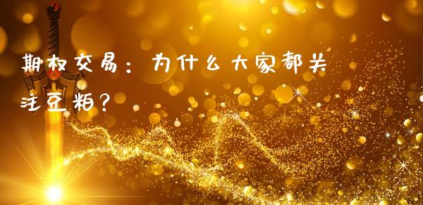 期权交易：为什么大家都关注豆粕？_https://wap.hpmsj.cn_外汇汇率_第1张