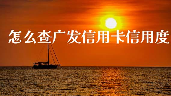 怎么查广发信用卡信用度_https://wap.hpmsj.cn_外汇汇率_第1张