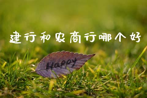建行和农商行哪个好_期货交易_第1张_财经时评_基金分析_期货交易_金融机构_外汇汇率_债券投资 建行和农商行哪个好_https://wap.hpmsj.cn_期货交易_第1张