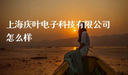 上海庆叶电子科技有限公司怎么样_https://wap.hpmsj.cn_金融机构_第1张