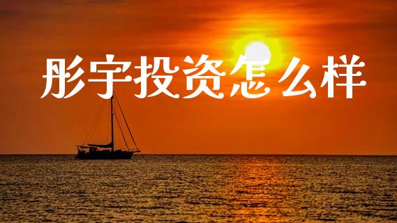 彤宇投资怎么样_https://wap.hpmsj.cn_基金分析_第1张