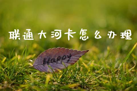 联通大河卡怎么办理_https://wap.hpmsj.cn_财经时评_第1张