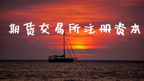 期货交易所注册资本_https://wap.hpmsj.cn_基金分析_第1张