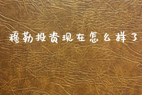 穆勒投资现在怎么样了_https://wap.hpmsj.cn_金融机构_第1张