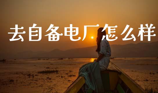去自备电厂怎么样_https://wap.hpmsj.cn_期货交易_第1张
