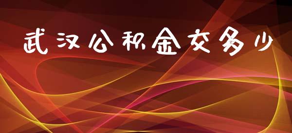 武汉公积金交多少_https://wap.hpmsj.cn_财经时评_第1张