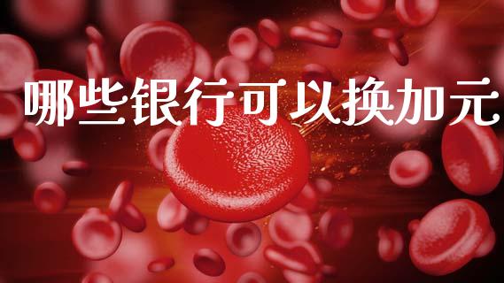 哪些银行可以换加元_https://wap.hpmsj.cn_债券投资_第1张
