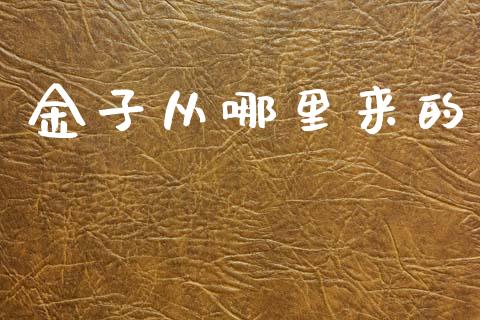 金子从哪里来的_https://wap.hpmsj.cn_债券投资_第1张