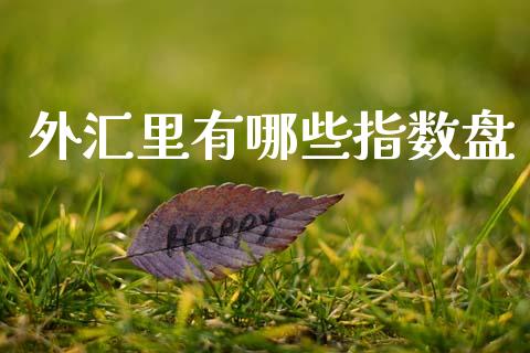 外汇里有哪些指数盘_https://wap.hpmsj.cn_债券投资_第1张