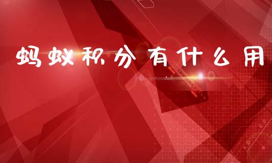 蚂蚁积分有什么用_https://wap.hpmsj.cn_财经时评_第1张