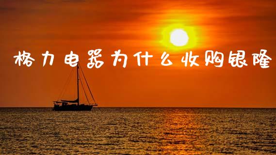 格力电器为什么收购银隆_https://wap.hpmsj.cn_财经时评_第1张