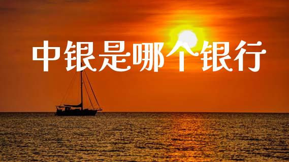 中银是哪个银行_https://wap.hpmsj.cn_债券投资_第1张
