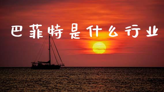 巴菲特是什么行业_https://wap.hpmsj.cn_财经时评_第1张