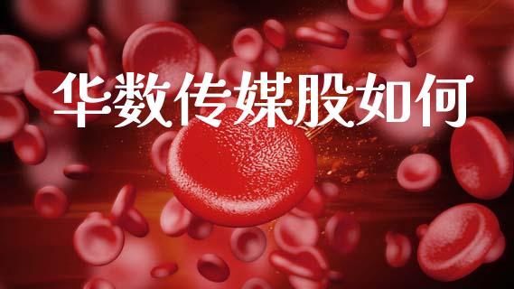 华数传媒股如何_https://wap.hpmsj.cn_债券投资_第1张