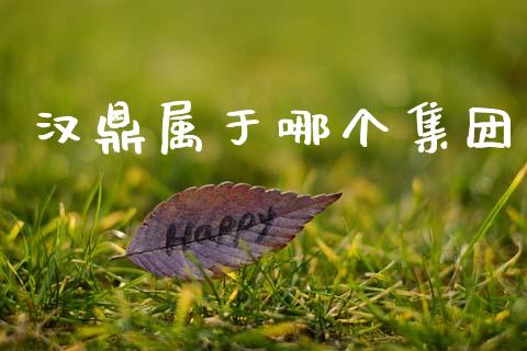 汉鼎属于哪个集团_https://wap.hpmsj.cn_债券投资_第1张