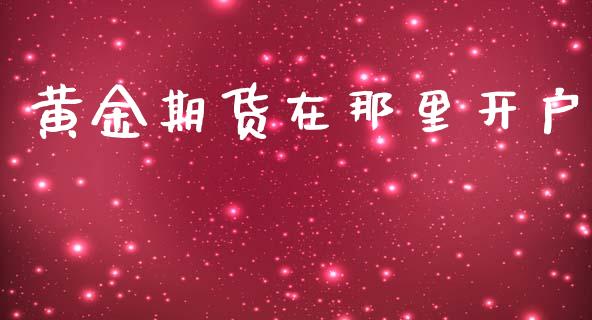 黄金期货在那里开户_https://wap.hpmsj.cn_期货交易_第1张