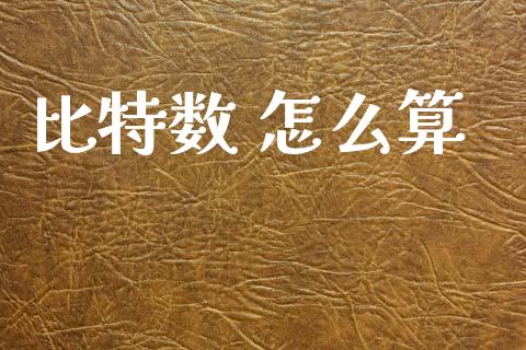 比特数 怎么算_https://wap.hpmsj.cn_外汇汇率_第1张
